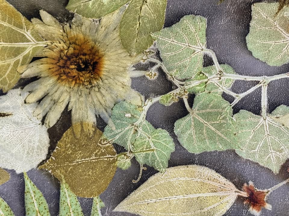 報名網站上線通知